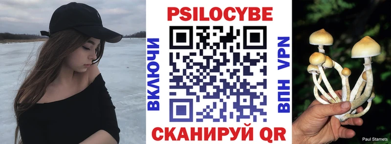 Галлюциногенные грибы Cubensis Пионерский